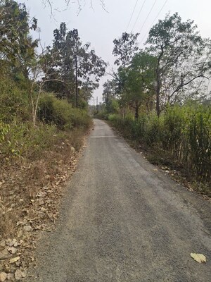 Plot Area in  Land at Pali – for Sale