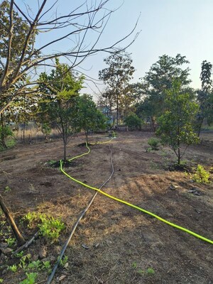 Plot Area in  Land at Pali – for Sale