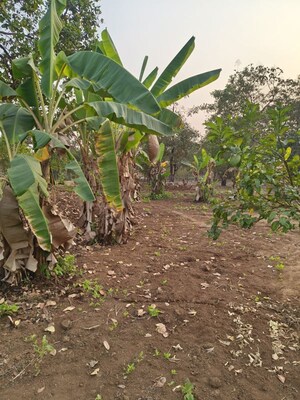  Land – Garden View at Pali - for Sale