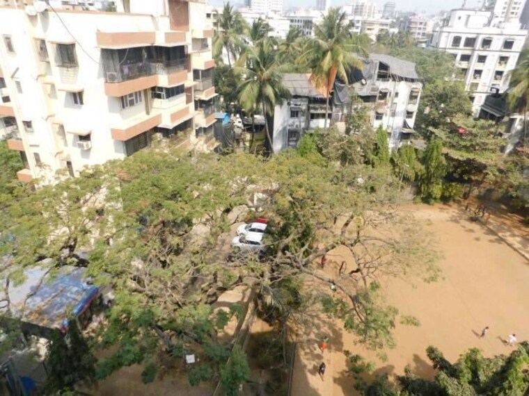 Exterior View, amboli 2 Bedroom 900 Sq.Ft. Apartment In Amboli Mumbai 10348240