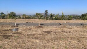  Plot For Sale in Jamniya