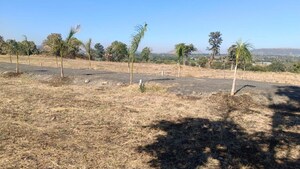 Plot Area in  Plot at Jamniya – for Sale