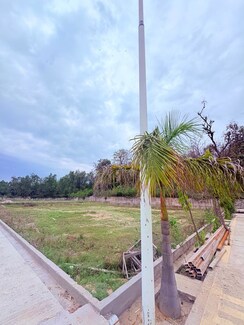 Plot For Sale in Biharigarh