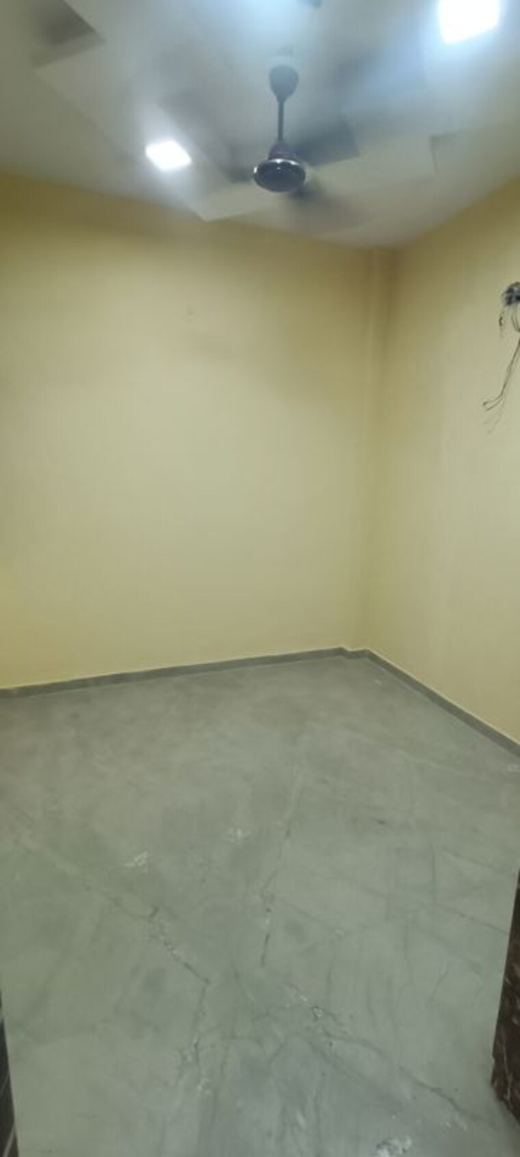 Room, rohini sector 8 2 Bedroom 650 Sq.Ft. Builder Floor In Rohini Sector 8 Delhi 10348574