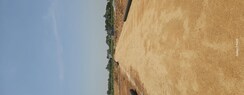 Plot For Sale in Shadnagar