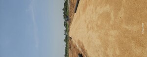  Plot For Sale in Shadnagar