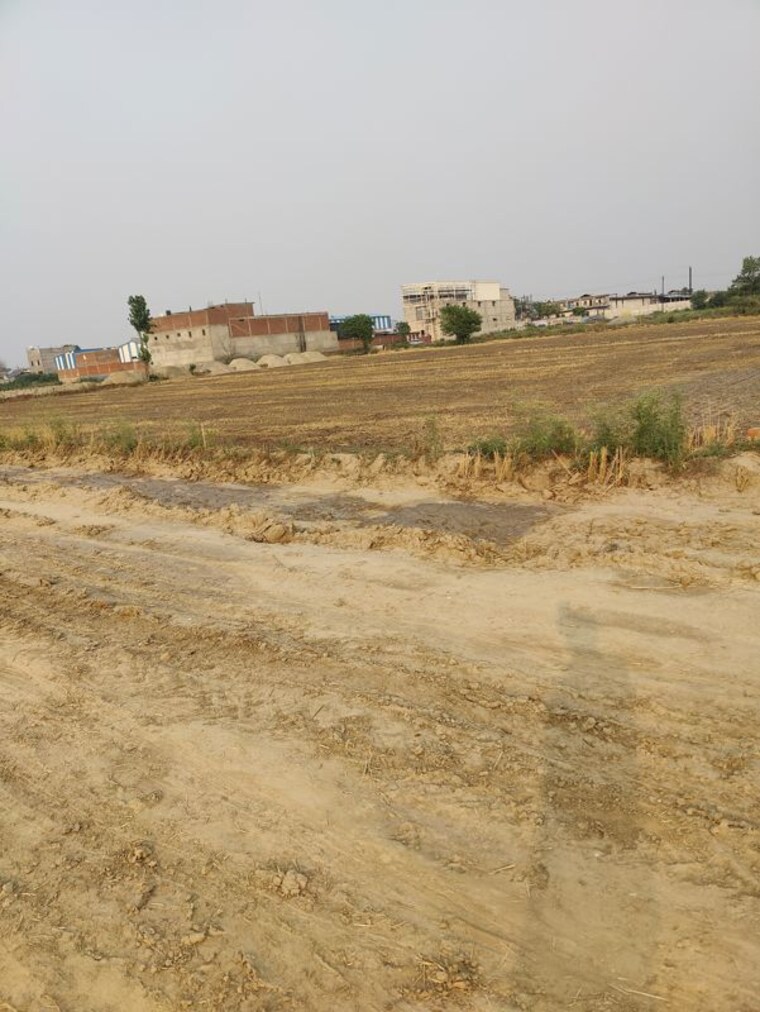undefined, saini  56 Sq.Yd. Plot In Saini Greater Noida 10348646