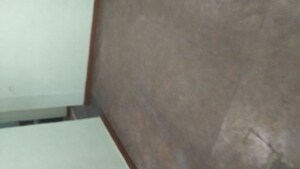 Room in 2 BHK Apartment at Arun Vihar Sector 37, Sector 37 – for Rent