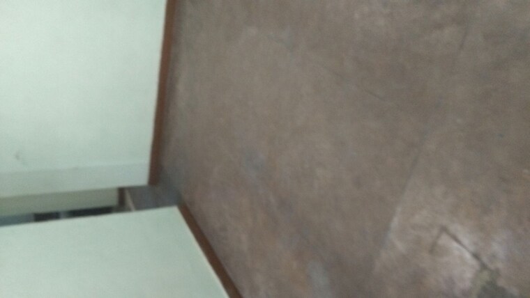 Room, arun-vihar-sector-37 2 Bedroom 700 Sq.Ft. Apartment In Sector 37 Noida 10348647