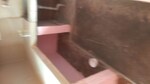 1 BHK + Store Room 500 Sq.Ft. Apartment in Arun Vihar Sector 37