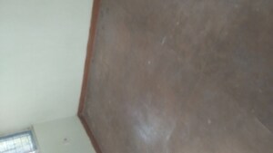 Room in 1 BHK Apartment at Arun Vihar Sector 37, Sector 37 – for Rent