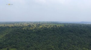 Plot Area in  Plot at Shankarpalli – for Sale