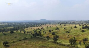 Plot Area in  Plot at Shankarpalli – for Sale