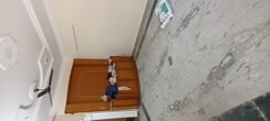 3 BHK + Pooja Room,Servant Room Independent House For Rent in Sector 28