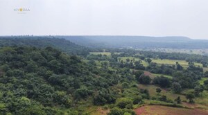 Plot Area in  Plot at Shankarpalli – for Rent
