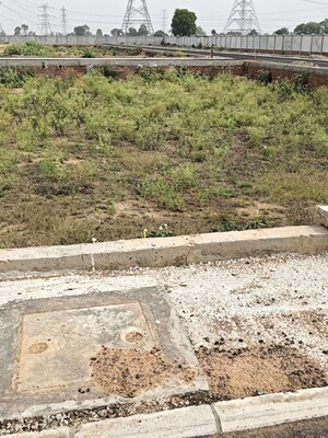 Plot Area in  Plot at Lykehomes Avenue, Farukh Nagar Sector 3 – for Sale