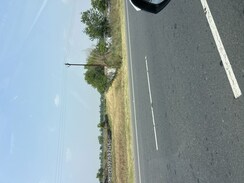 Plot For Sale in Sector 71