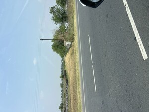  Plot For Sale in Sector 71