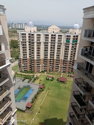 3.5 BHK Apartment – Exterior View View at Ambika Florence Park, North Mullanpur - for Sale