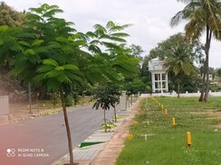 Plot For Sale in Kanakapura Road