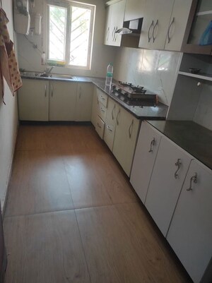 Kitchen in 3 BHK Independent House at Pacific Golf Estate, Kulhan – for Rent