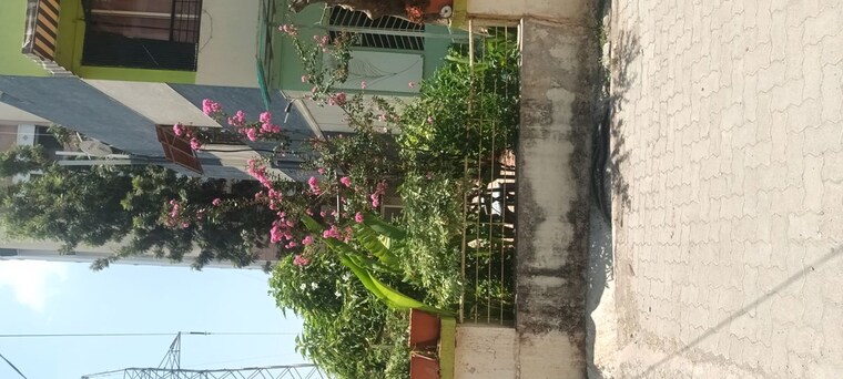 Exterior View, nirmiti-landmark 3 Bedroom 1600 Sq.Ft. Independent House In Aundh Road Pune 10349321