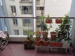 2 BHK + Basement Apartment For Rent in RR Lunkad 66 Avenue