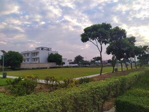Plot Area in 3.5 BHK Builder Floor at DLF Hyde Park, South Mullanpur – for Rent