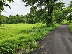 Land For Sale in Mangaon
