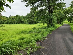  Land For Sale in Mangaon
