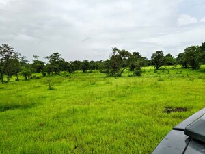 Plot Area in  Land at Mangaon – for Sale