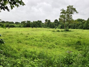 Plot Area in  Land at Mangaon – for Sale