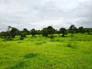Plot Area in  Land at Mangaon – for Sale