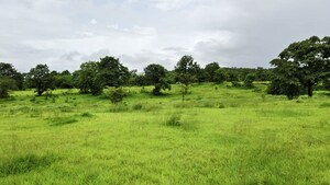 Plot Area in  Land at Mangaon – for Sale