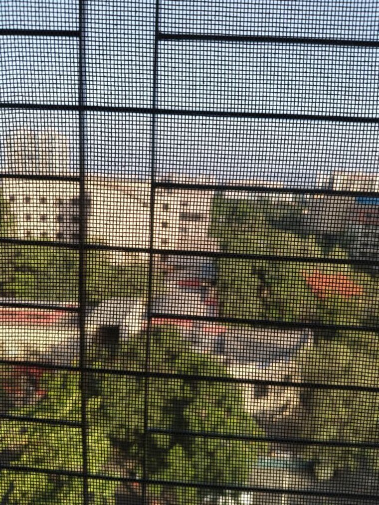 Exterior View, gajra-bhoomi-tower 3 Bedroom 1500 Sq.Ft. Apartment In Kharghar Navi Mumbai 10342605