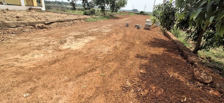 undefined, pipili  1200 Sq.Ft. Plot In Pipili Bhubaneswar 10350043