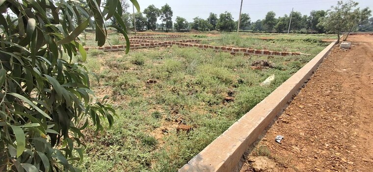 undefined, pipili  1200 Sq.Ft. Plot In Pipili Bhubaneswar 10350043