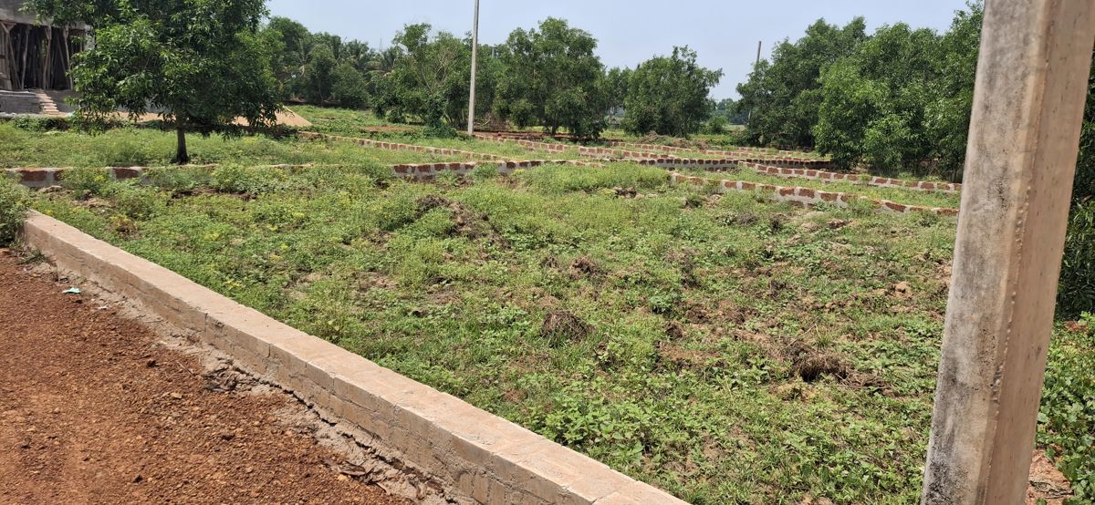 Plot For Sale in Pipili