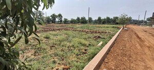 Plot Area in  Plot at Pipili – for Sale