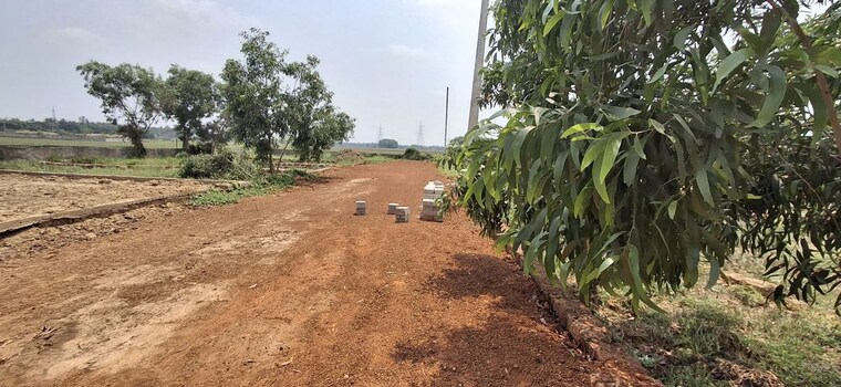 undefined, pipili  1200 Sq.Ft. Plot In Pipili Bhubaneswar 10350043