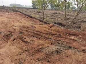 Plot Area in  Plot at Pipili – for Sale