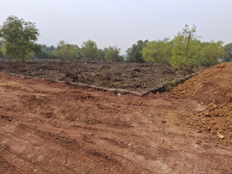 undefined, pipili  1200 Sq.Ft. Plot In Pipili Bhubaneswar 10350043
