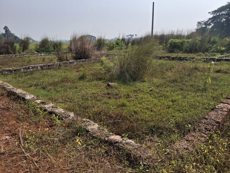 undefined, pipili  1200 Sq.Ft. Plot In Pipili Bhubaneswar 10350043