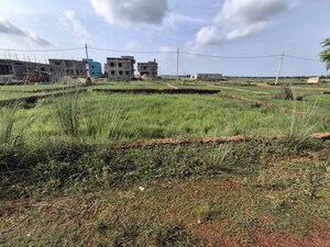 Plot Area in  Plot at Pipili – for Sale