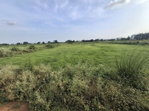 Plot Area in  Plot at Pipili – for Sale