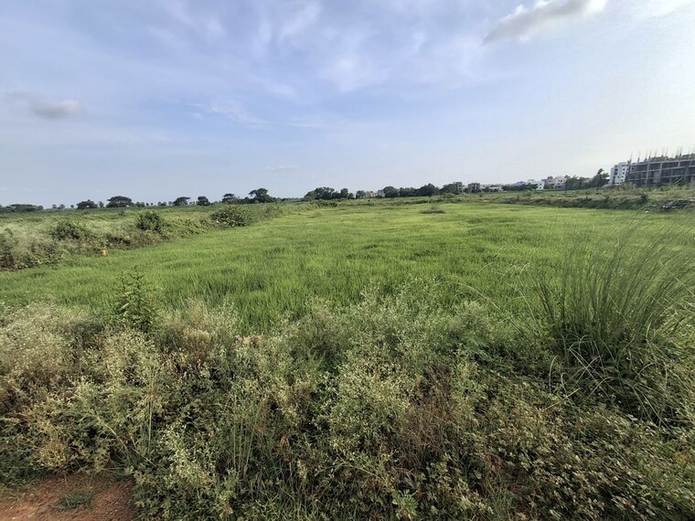 undefined, pipili  1200 Sq.Ft. Plot In Pipili Bhubaneswar 10350043