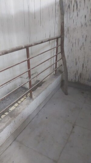 2.5 BHK Builder Floor For Rent in Mayur Vihar