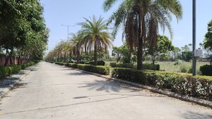 Plot – Exterior View View at Terra City, Alwar Bypass Road - for Sale