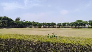 Plot – Exterior View View at Terra City, Alwar Bypass Road - for Sale