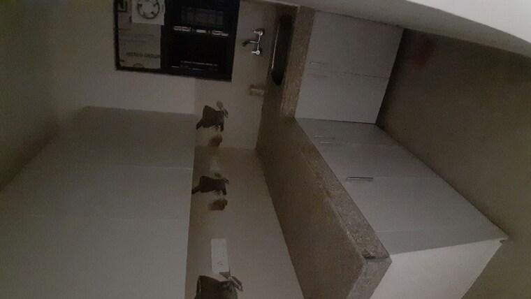 Kitchen, ansal-api-esencia 2 Bedroom 450 Sq.Ft. Builder Floor In Sector 67 Gurgaon 10350297